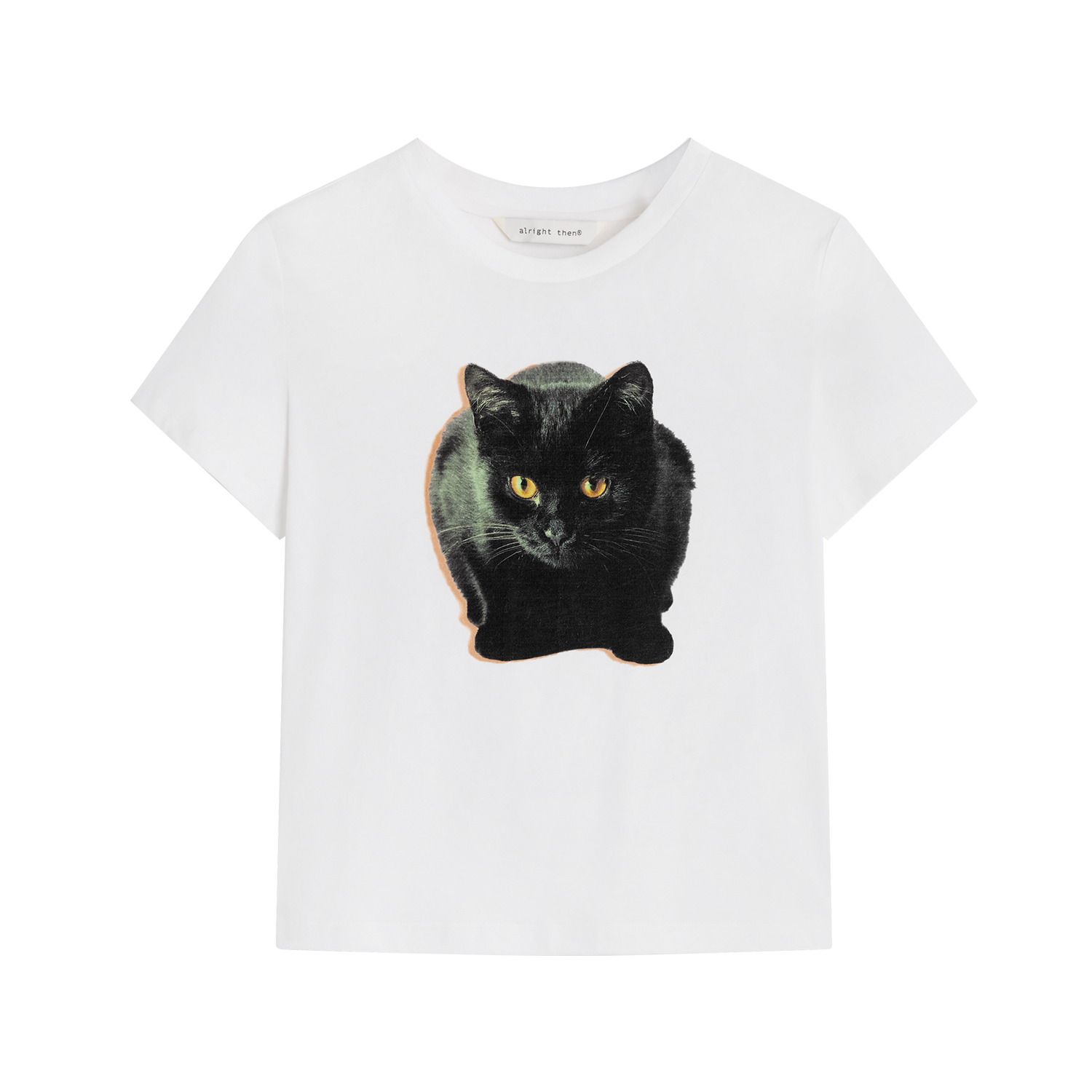 Alright Then Vintage Millennial E-Cat T-Shirt
